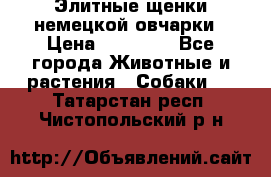 Элитные щенки немецкой овчарки › Цена ­ 30 000 - Все города Животные и растения » Собаки   . Татарстан респ.,Чистопольский р-н